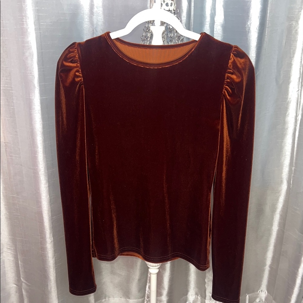 Elegant Velvet Long Sleeve Top With Ruching at the shoulders